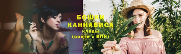 таблы Козельск