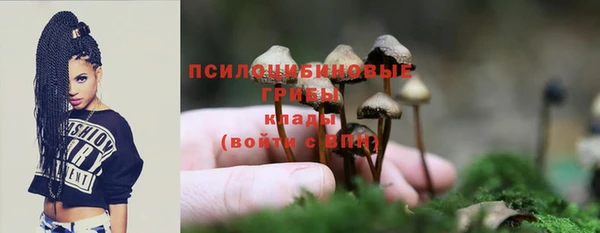 мескалин Козловка