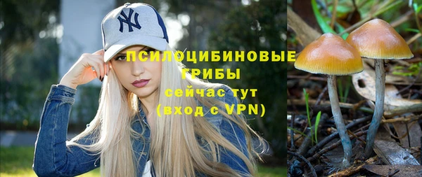 apvp Кодинск