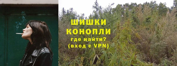 дмт Корсаков
