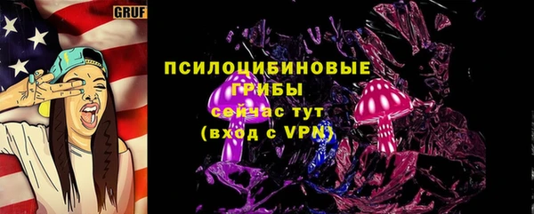 мдпв Кинешма