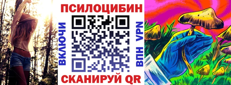 kraken ONION  Ковдор  Псилоцибиновые грибы GOLDEN TEACHER  как найти  